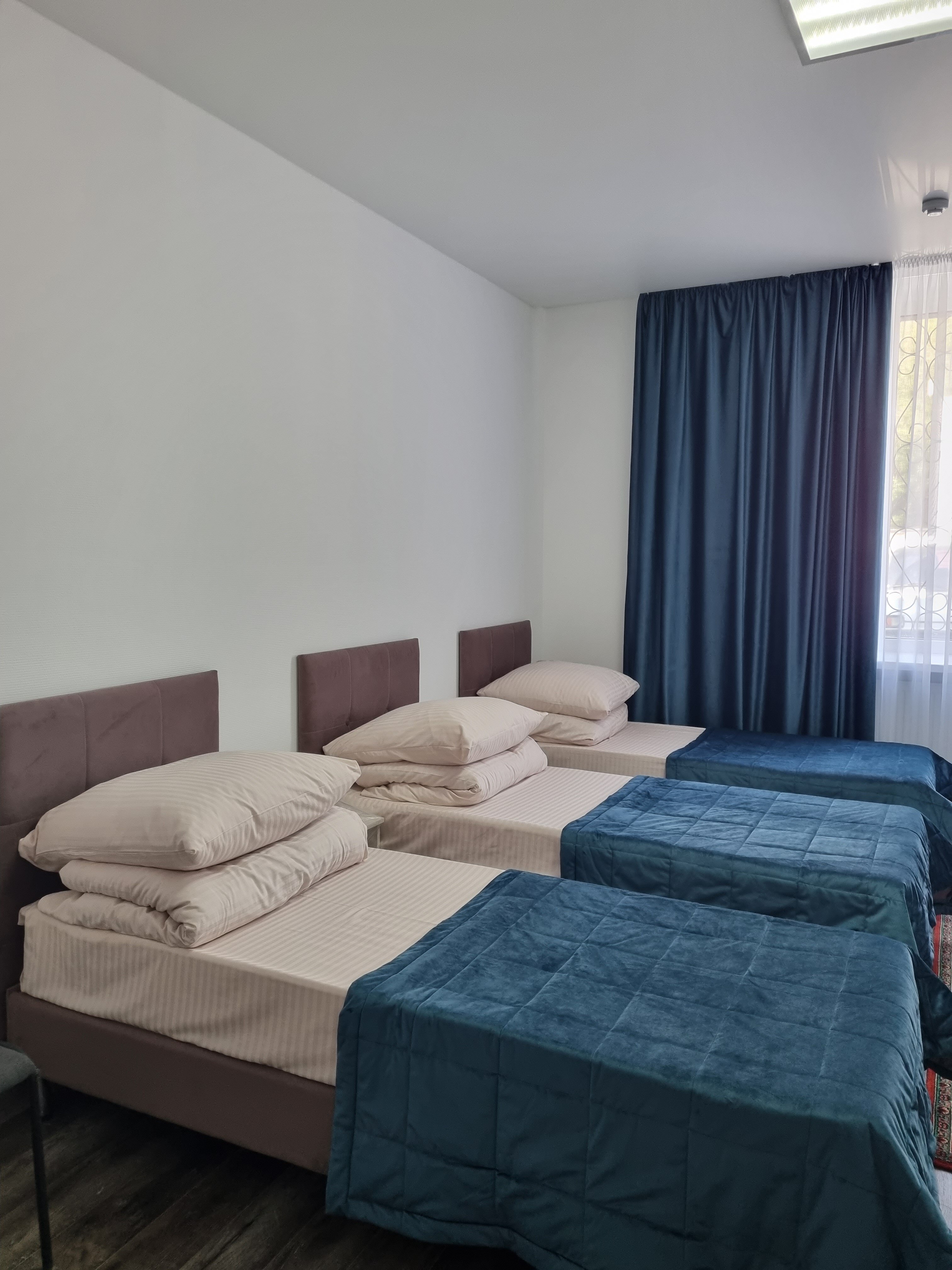 Фото Медуза