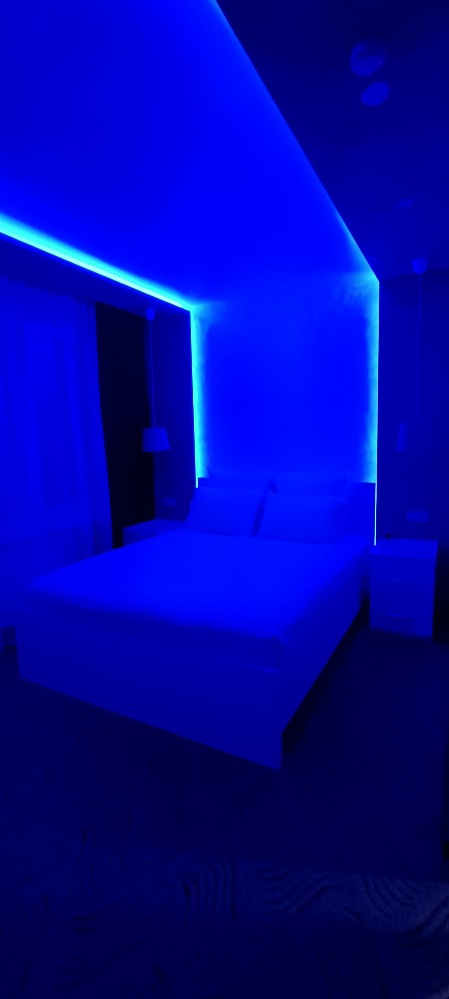 Фото Голден Стар