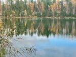 СНТ Заря (Moscow Region, Balashikha), asociaciones y sociedades hortícolas
