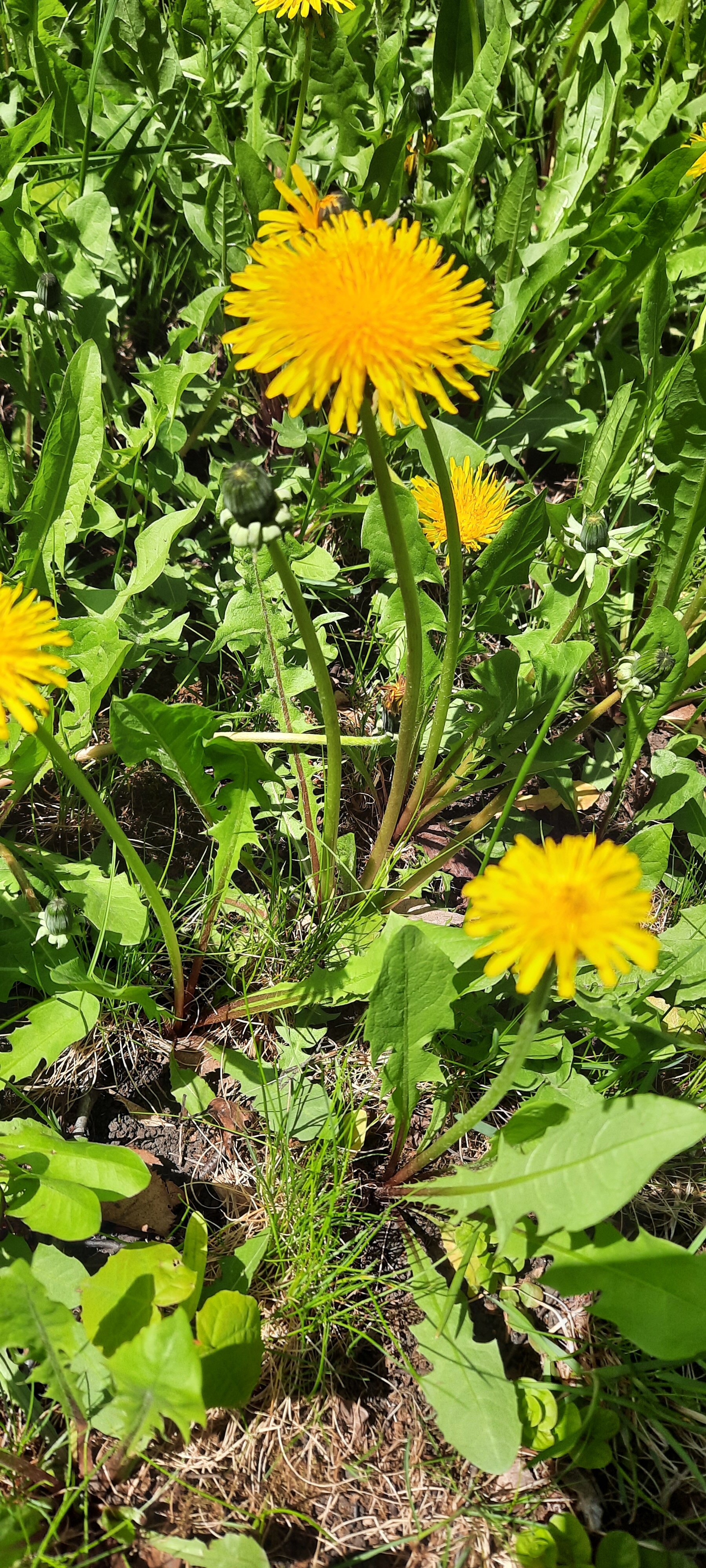 Фото Зеленая Роща