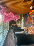 Эдем (posyolok gorodskogo tipa Tuchkovo, mikrorayon Vostochny, 1Б), cafe
