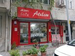 Atilim Elektronik (İstanbul, Sultangazi, Cebeci Mah., 2472. Sok., 11A) ، إصلاح المعدات الكهربائية