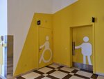Toilet for Disabled (Saken Seifullin Avenue, 617), toilet