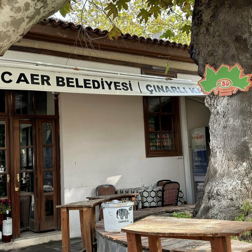 Cafe Cinarali Coffeehouse, Manisa, photo