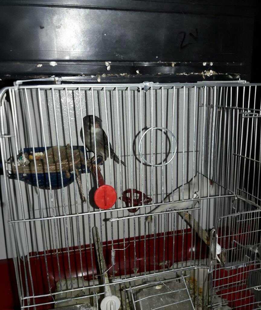 Bakery Gölbaşı Pide Fırını, Gaziantep, photo