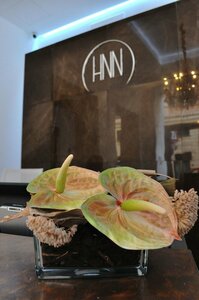 Гостиница Hnn Luxury Suites