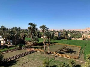 Гостиница Cleopatra Hotel Luxor