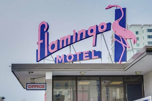 Гостиница Flamingo Motel