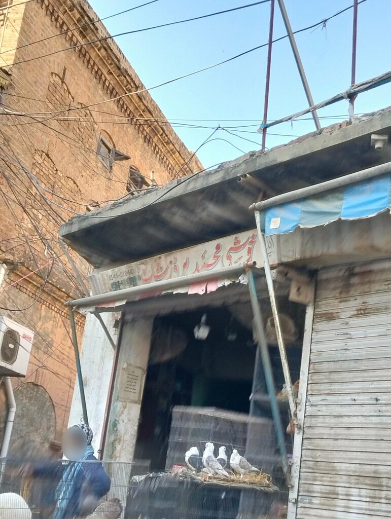 Pet shop Kushi Muhammad Birds Shop, Rawalpindi, photo