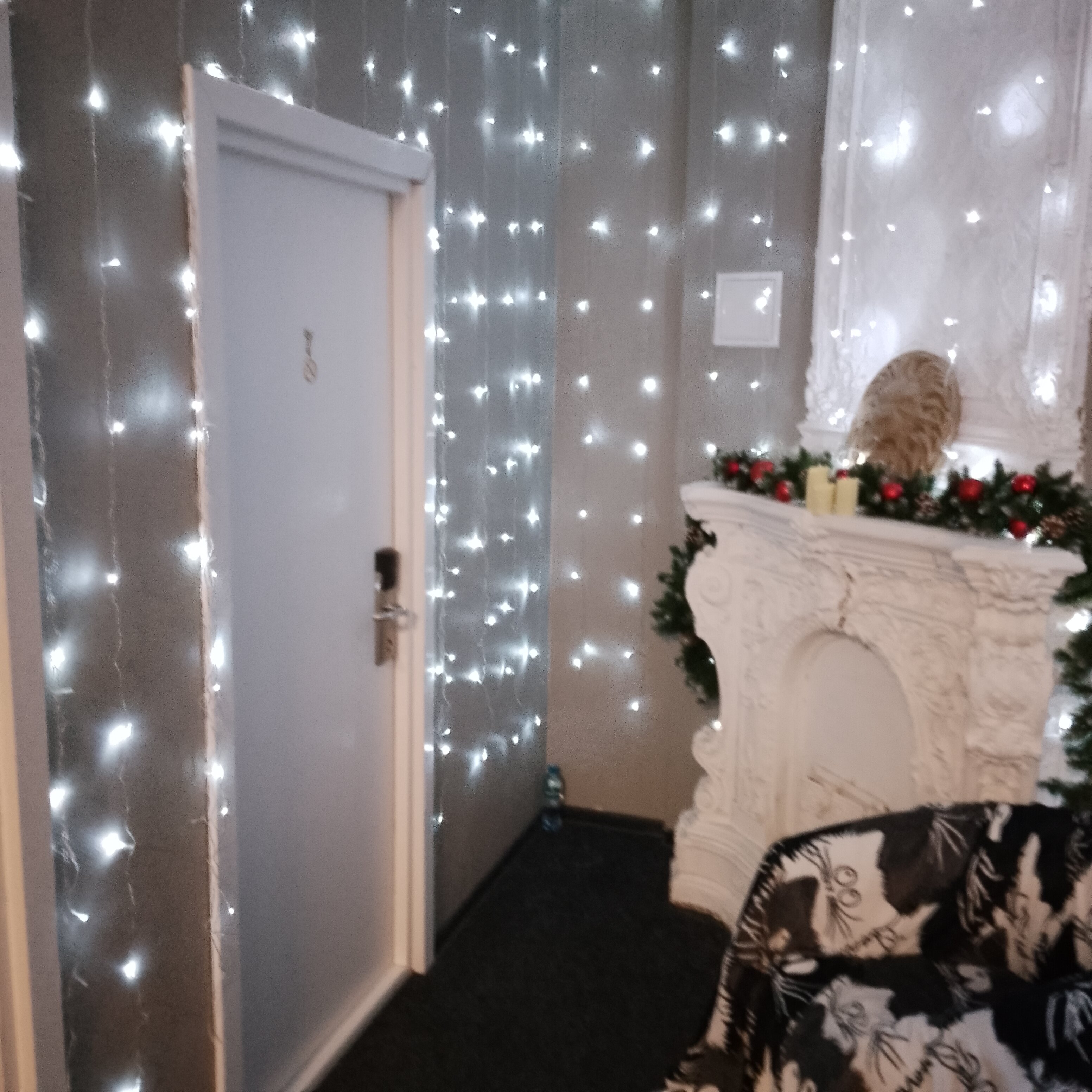 Фото Skandinavia