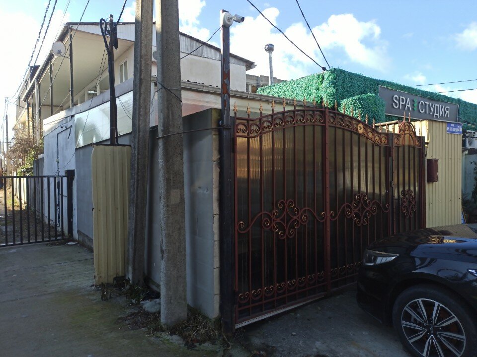 Фото Кипарис