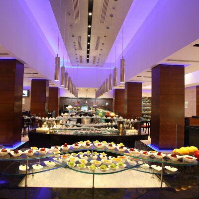 Фото Radisson Blu Plaza Hotel, Delhi Airport