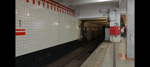 Боршой мүшесі ануста смотреть онлайн