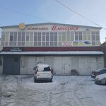 Автоспецзапчасти (Turgoyakskoye shosse, 5/25) ، متجر قطع غيار ولوازم السيارات