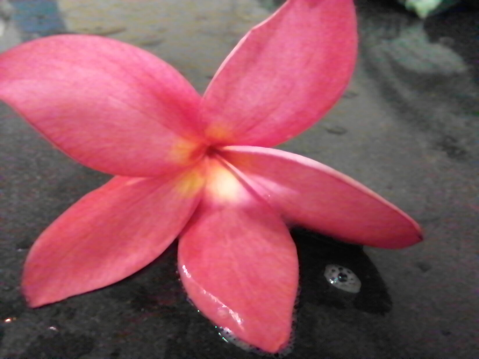 Фото Crown Pattaya Beach Hotel