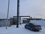 Td Lotsman (Izoplitnaya ulitsa, 23Б), fish and seafood