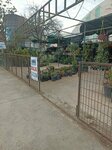 Emin Pool and Landscaping (İstanbul, Tuzla, Rauf Orbay Cad., 158), plant nursery
