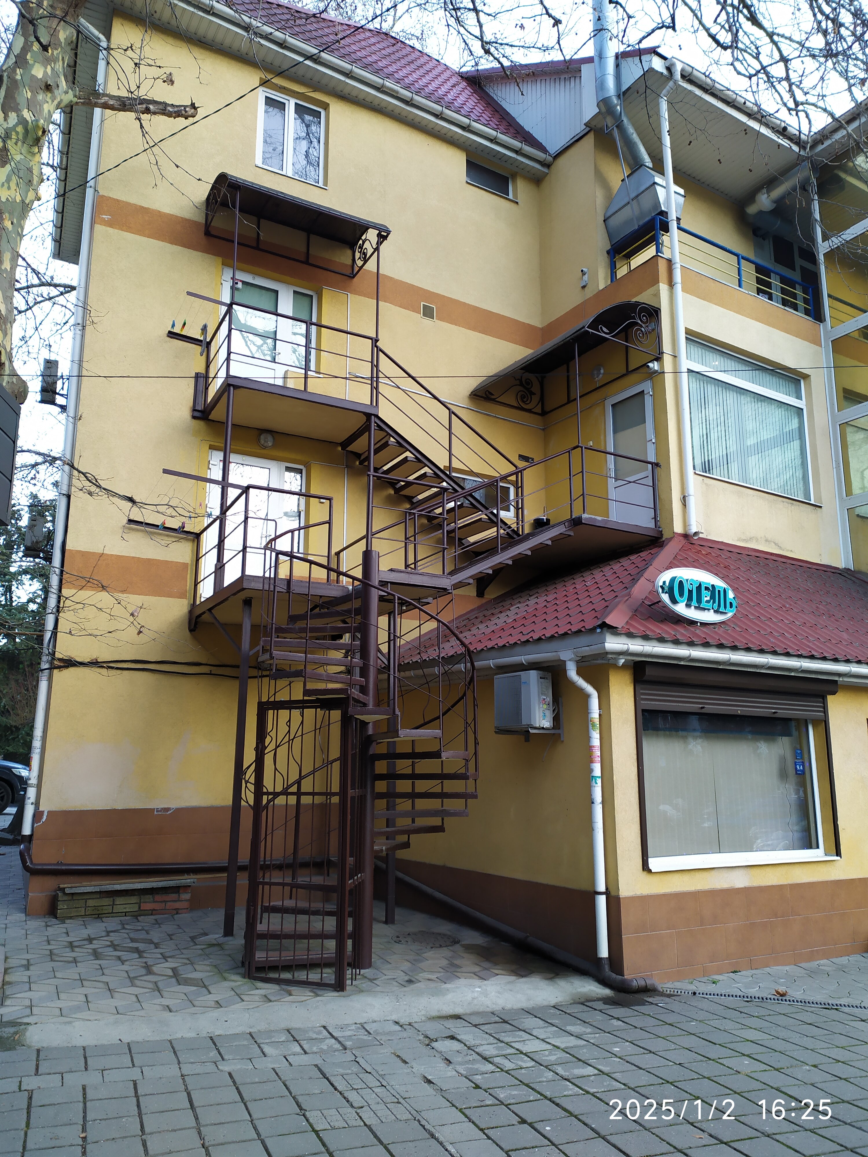 Фото Пеликан