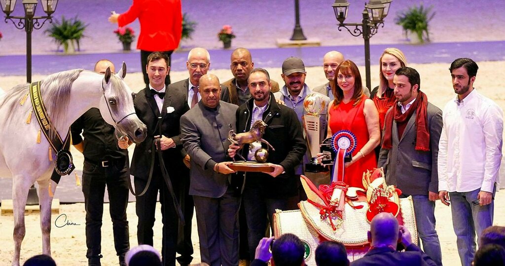 Horse riding Al Bidayer Stud, Sharjah, photo