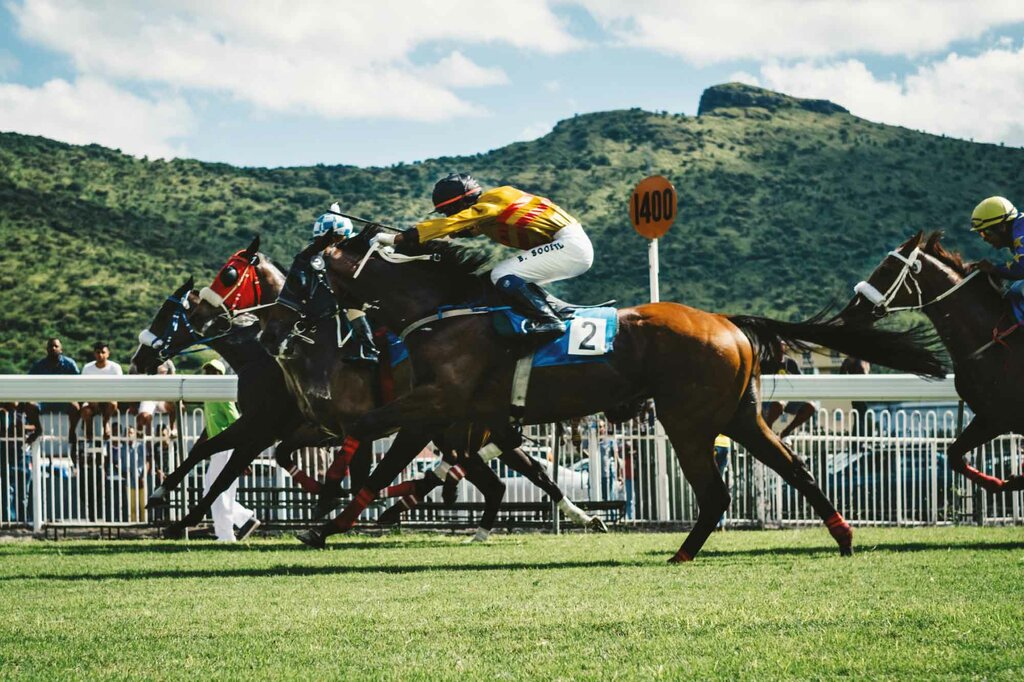 Construction of sports facilities Tour Best Trading, Dubai, photo