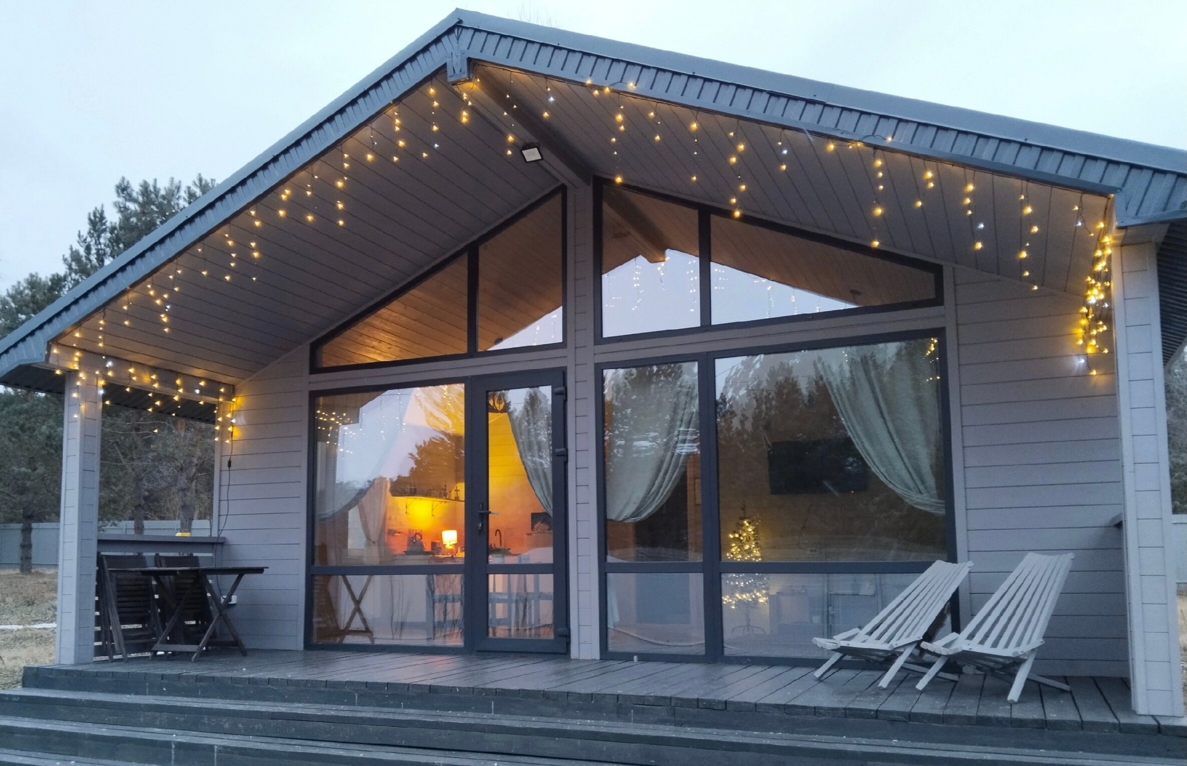 Фото Сосны. Тут