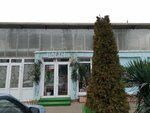Цветы (Shovgenova Street, 11), flower shop