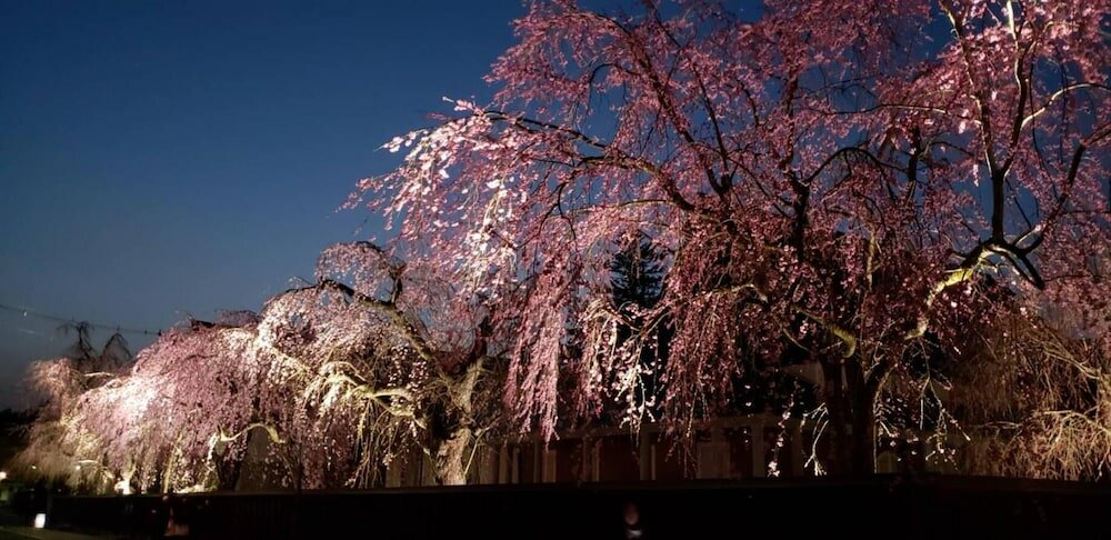 Фото Guesthouse Fuga