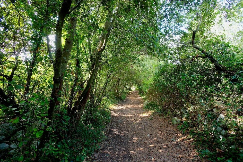 Фото Tenuta Sant'Andrea