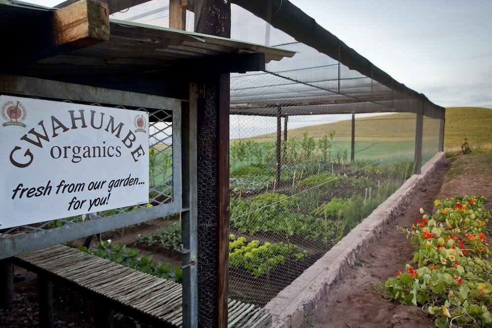 Фото Gwahumbe Game & SPA