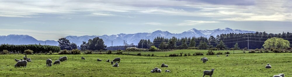 Фото Gem bed and breakfast