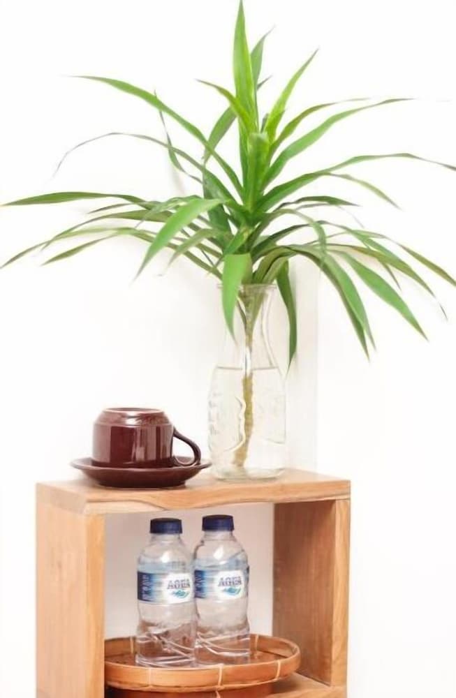 Фото Santi HomeStay