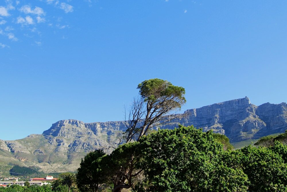 Фото Ashanti Lodge Backpackers Gardens