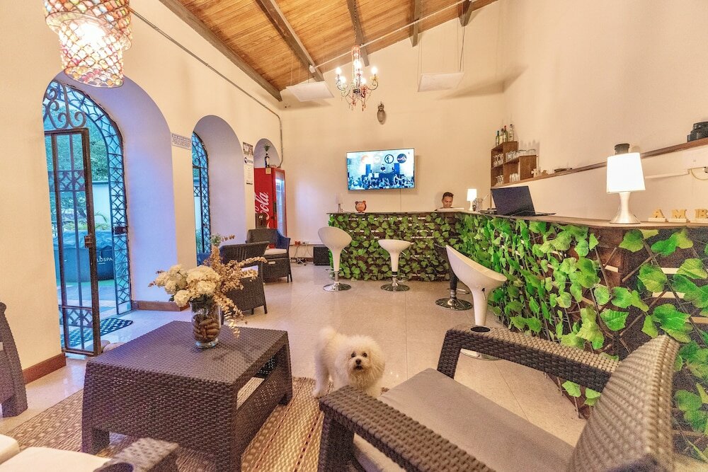 Фото Ámbar Hostel San Gil