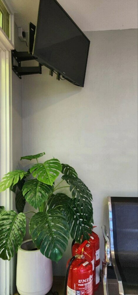 Фото Grapevine Garden