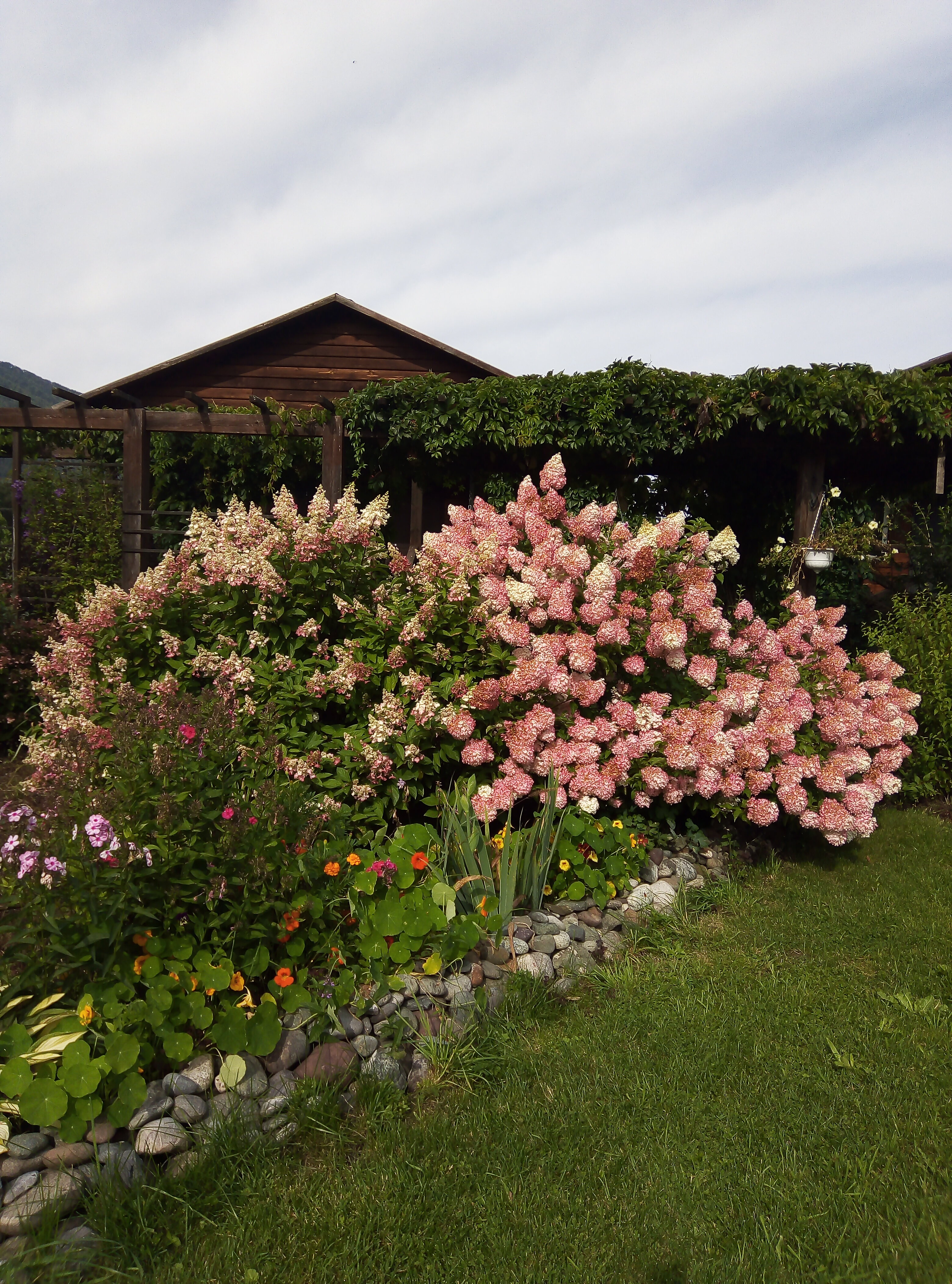 Фото Усадьба толстяка МО