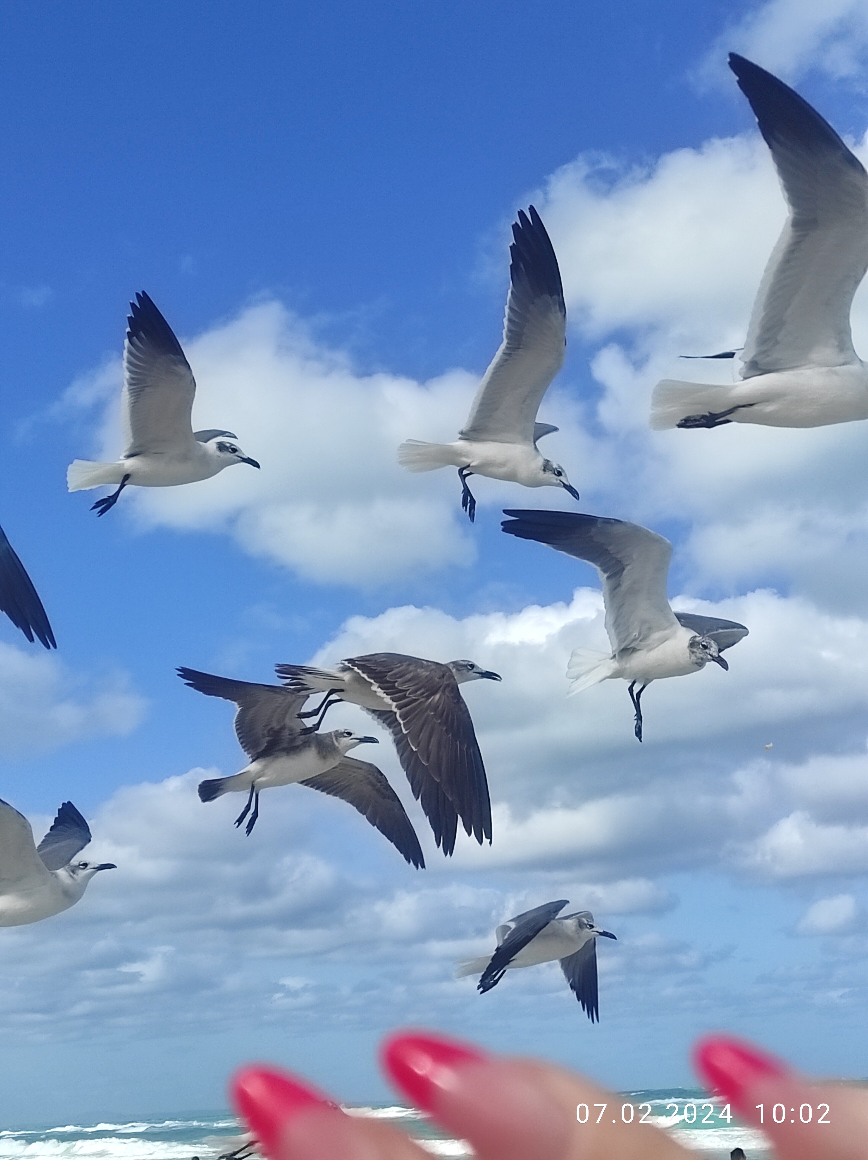 Фото Barcelo Solymar