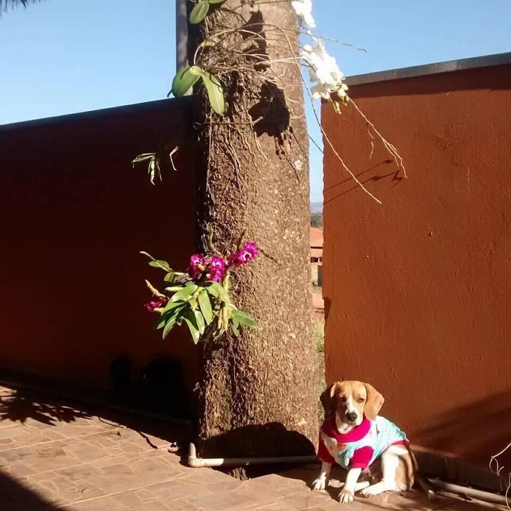 Фото Recanto Vita et Pax