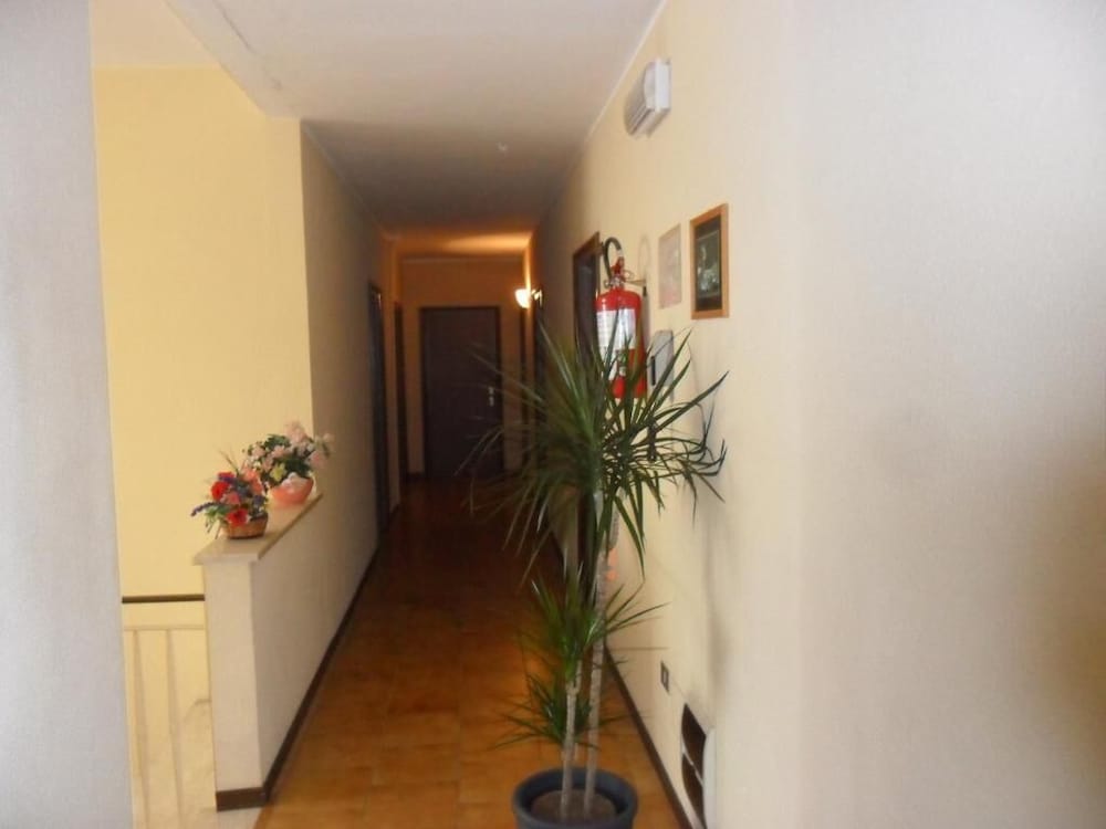 Фото Hotel Orlov