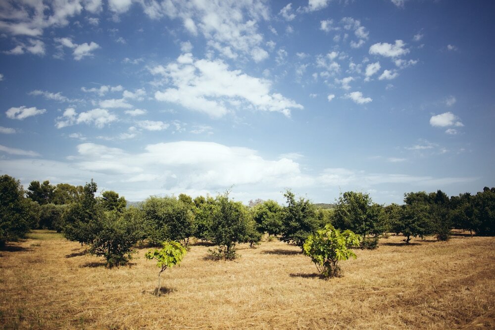 Фото Su Leunaxiu