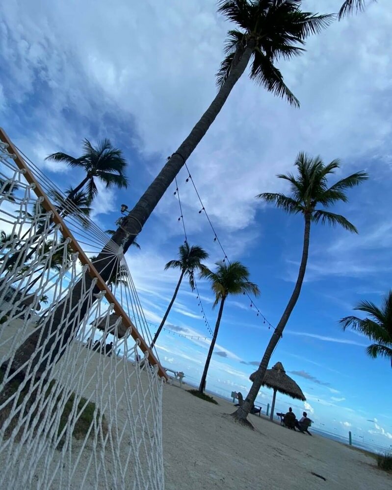 Фото Drop Anchor