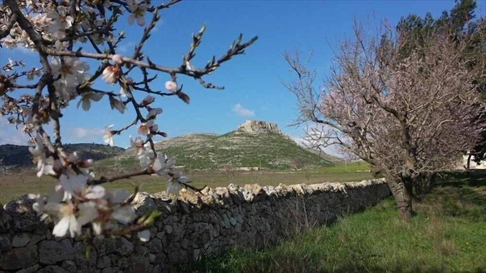 Фото B&b Bianca Lancia