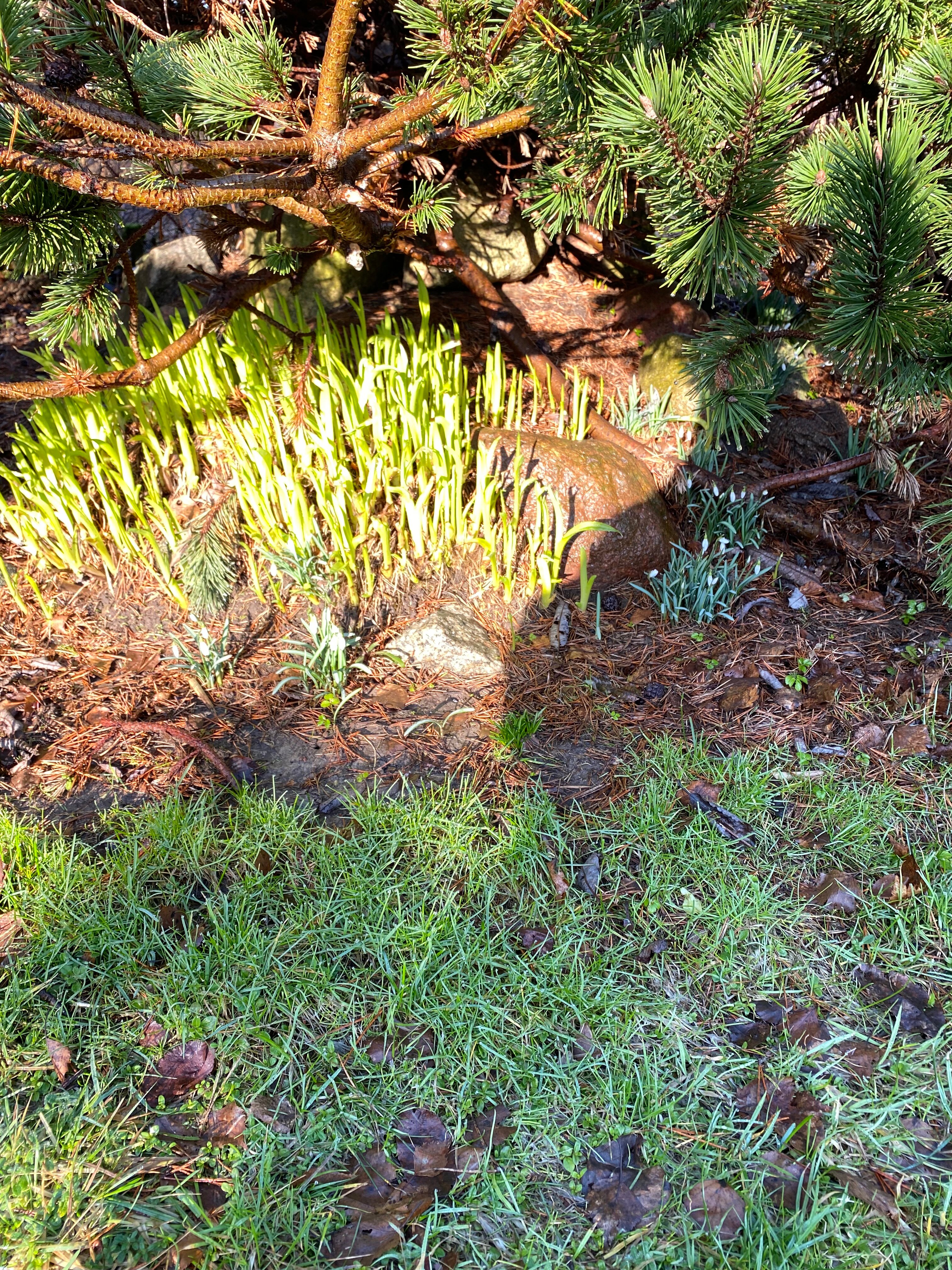 Фото Меблированные комнаты