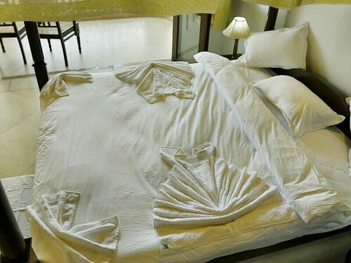 Внешний вид отеля Resort Coqueiral Goa в Бардеже, фото 5