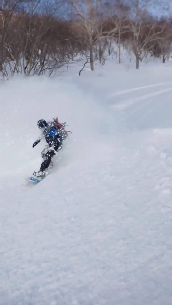 Фото Myoko Forest Lodge - Hostel