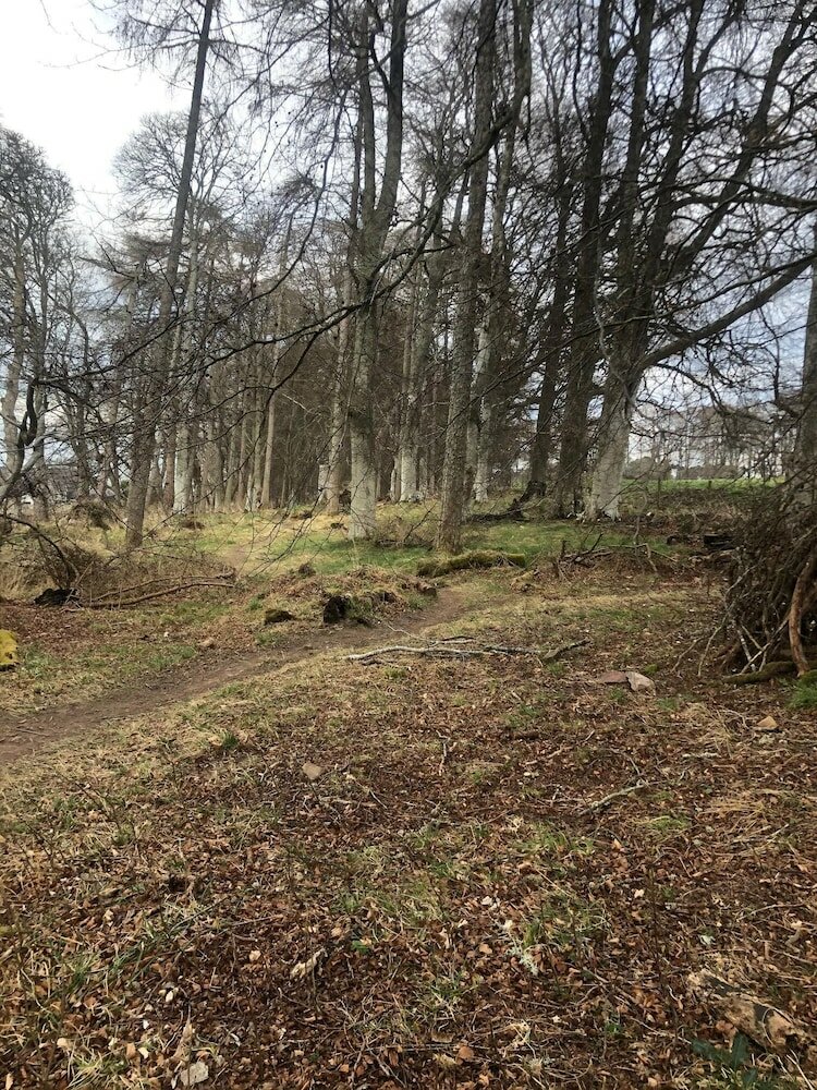 Фото Appin Apartment