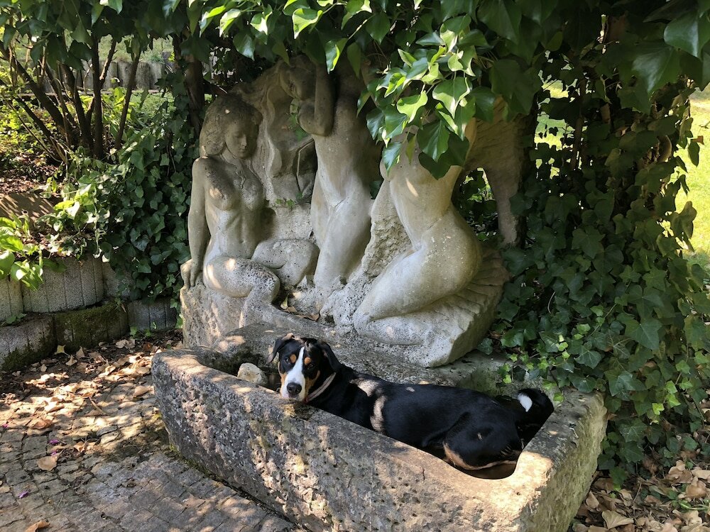 Фото Haus Am Wald