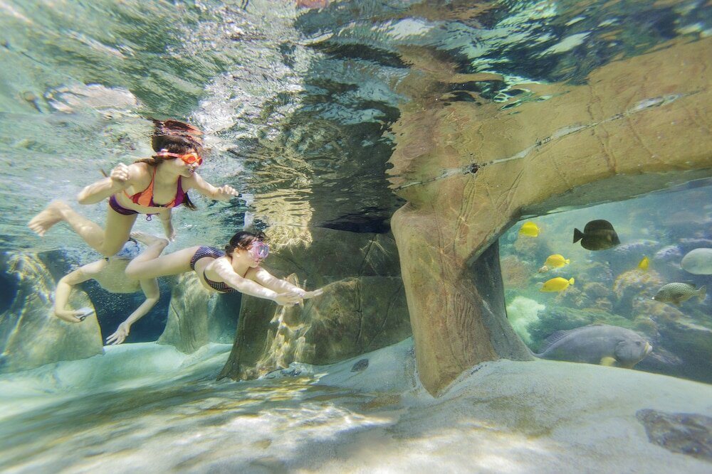 Фото Center Parcs De Vossemeren