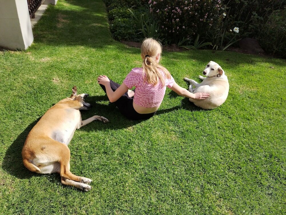 Фото Dekotzenhof