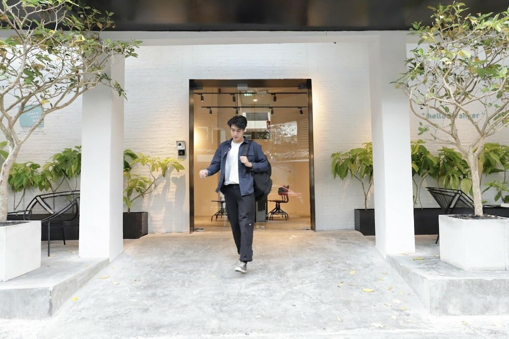 Фото Chocolate Box Mint