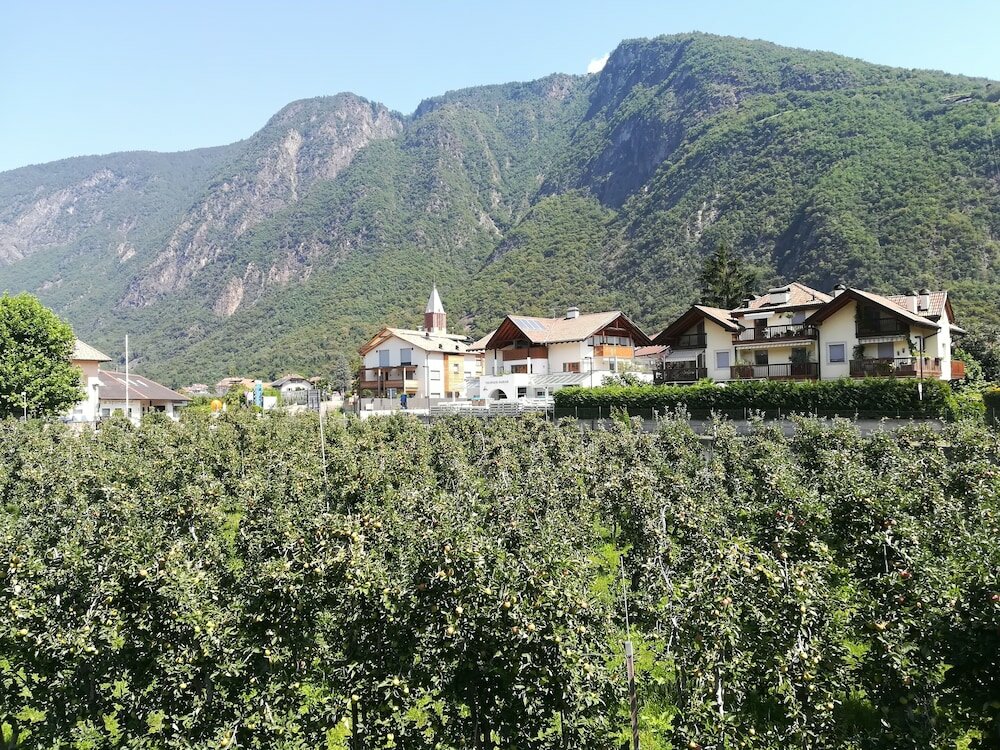 Фото Pension Sunnhofer